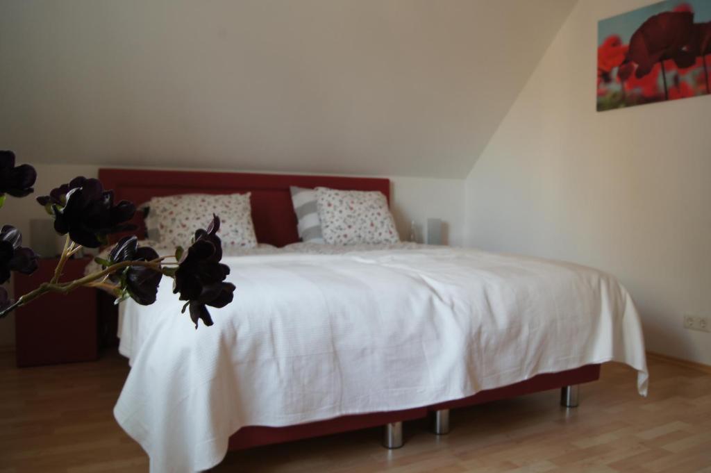 Bed And Breakfast Ammeloe Vreden Extérieur photo