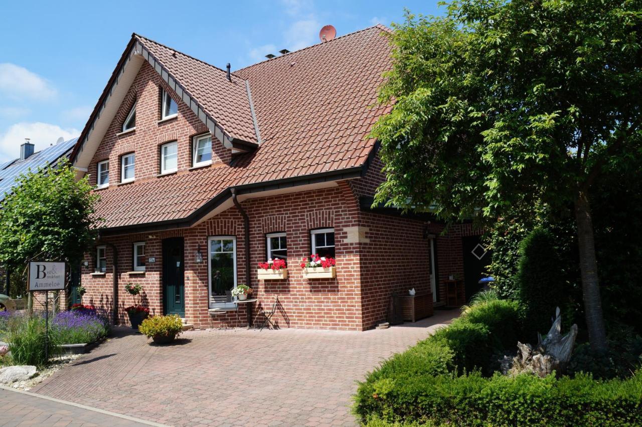 Bed And Breakfast Ammeloe Vreden Extérieur photo